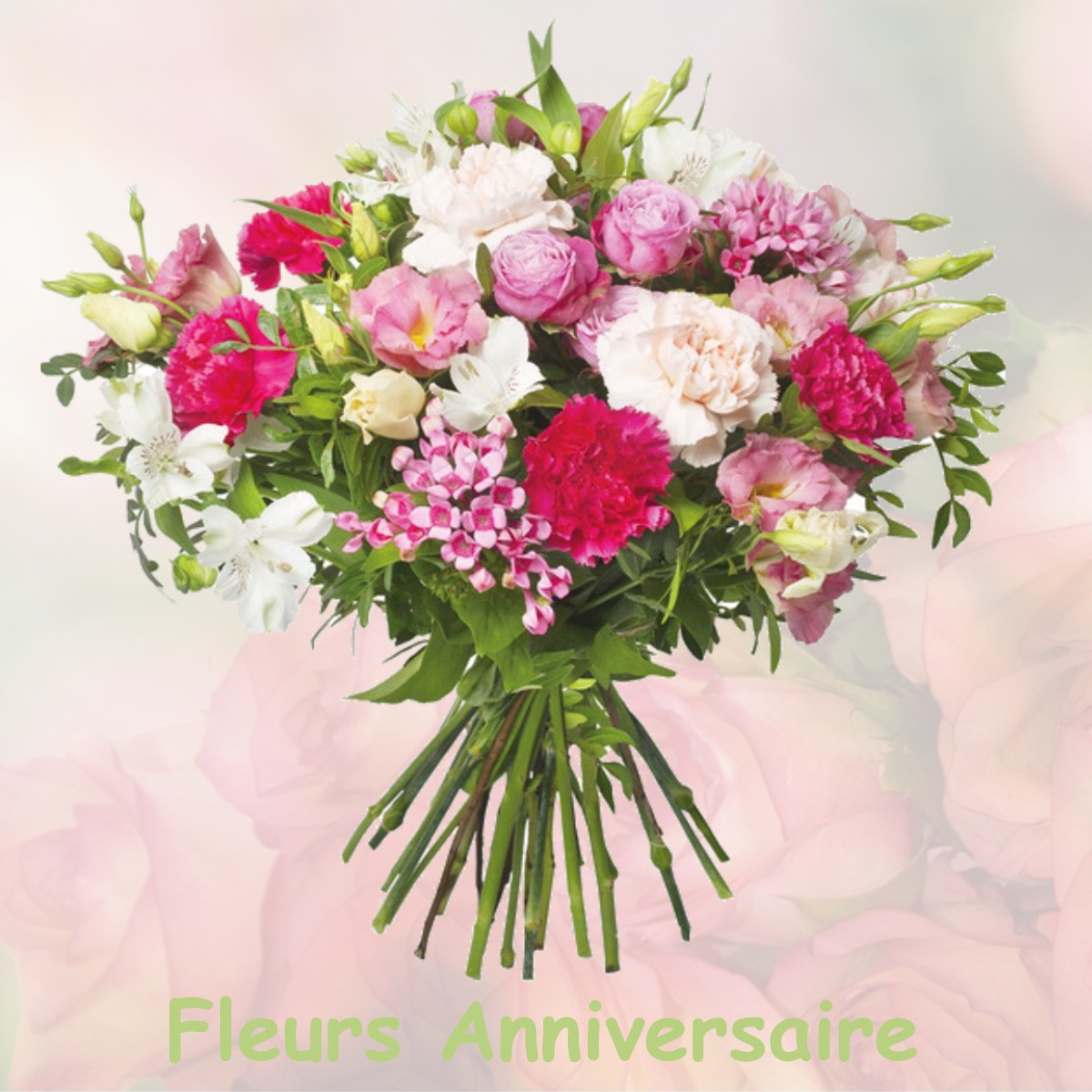 fleurs anniversaire MEAUX